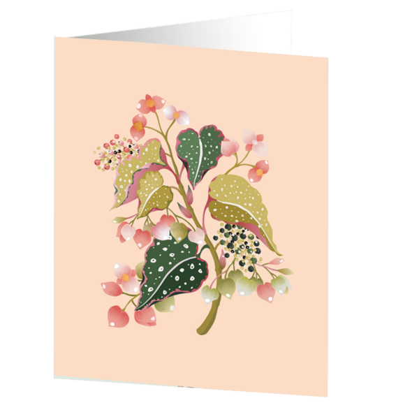Begonia Plant - Botanical Collection Medium kort