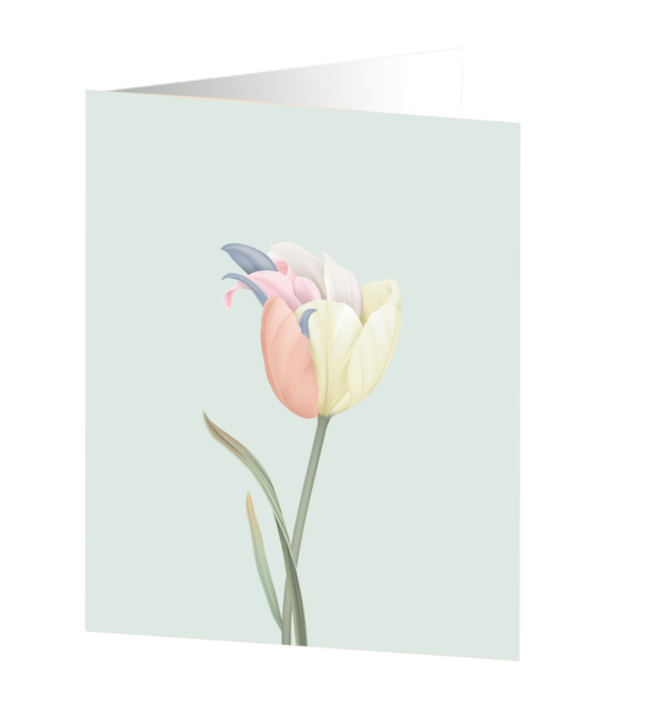 Fairytale tulip - Botanical Collection Medium kort