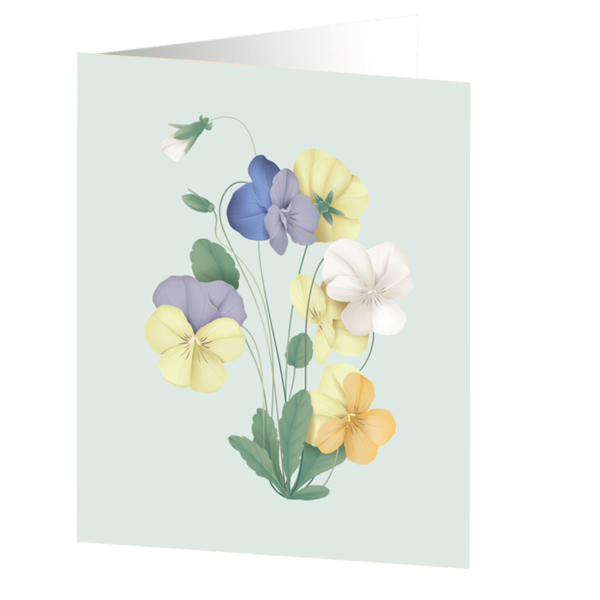 Pansy flower - kort Botanical Collection