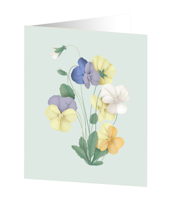 Pansy flower - kort Botanical Collection